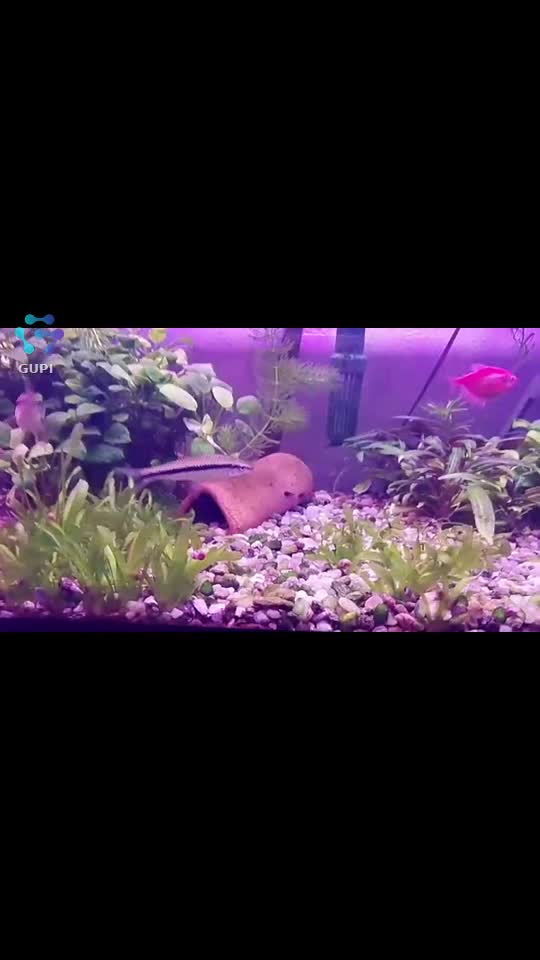 🤗🤗🤗
