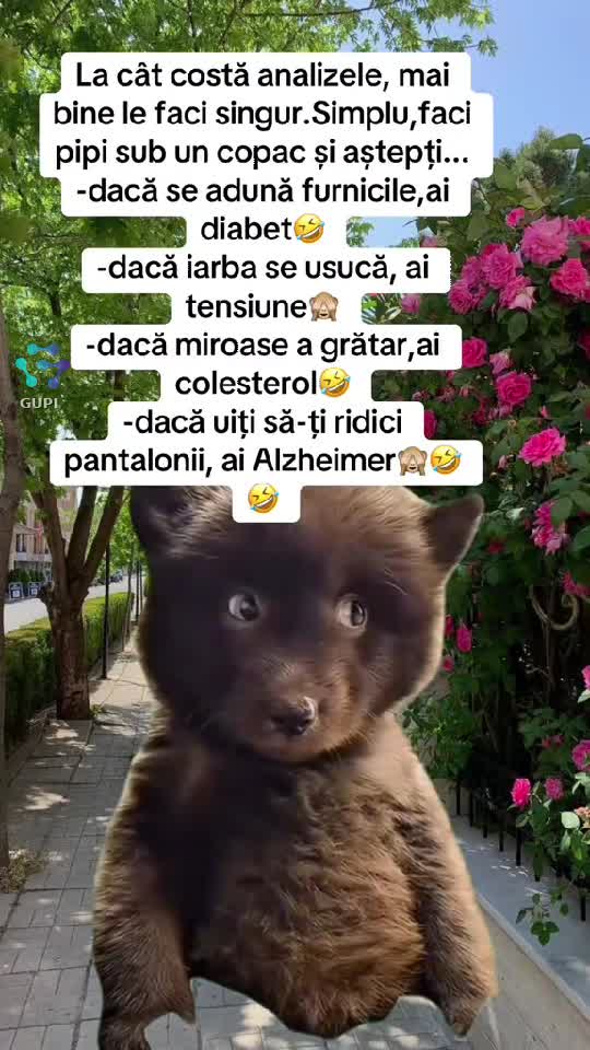 |||{"overlays":[{"text":"😂","x":0.4153320312500001,"y":0.755636899834437,"fontSize":48.0,"color":4294967295,"isEmoji":true}]}