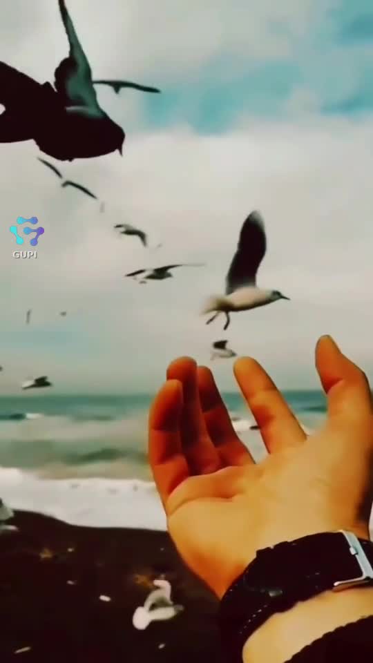 Original Sound - Adrian Doboș