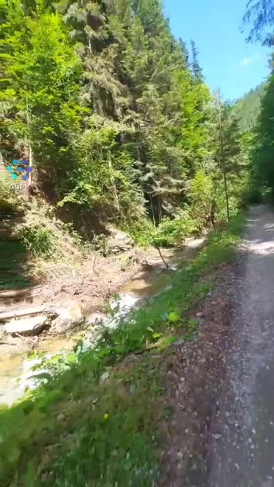 Video de @FLRica06