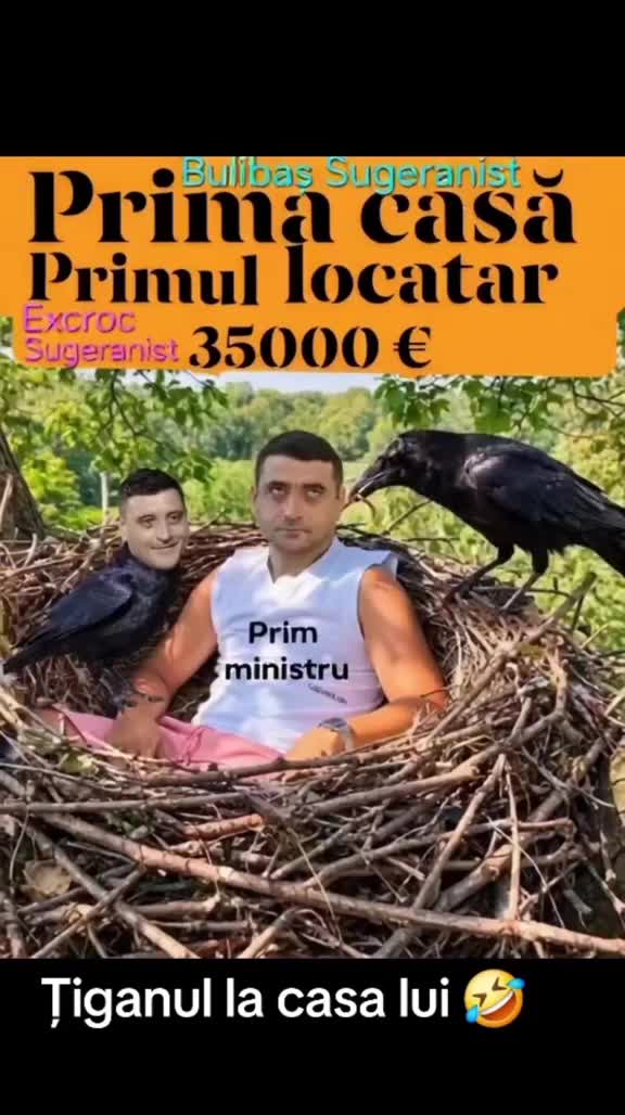 Video de @gupiuser994666
