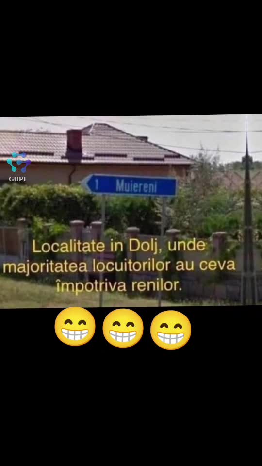 localnicii de aici au ceva cu renii...😁😁😁