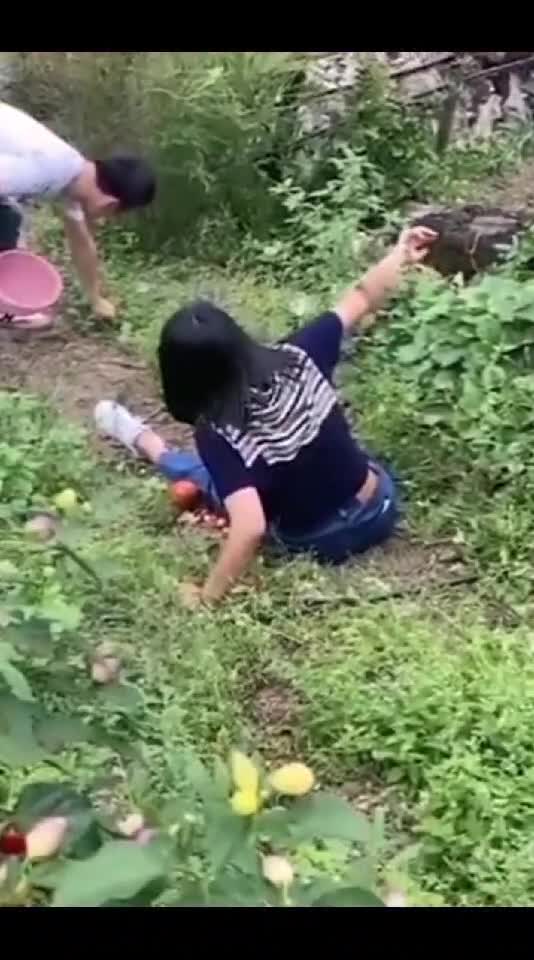 funnyvideos