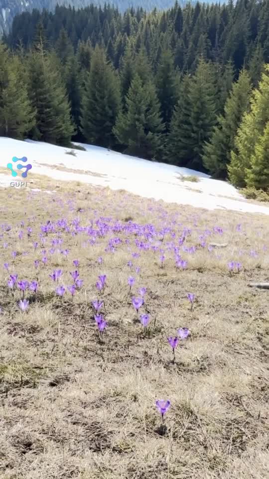Viata la munte