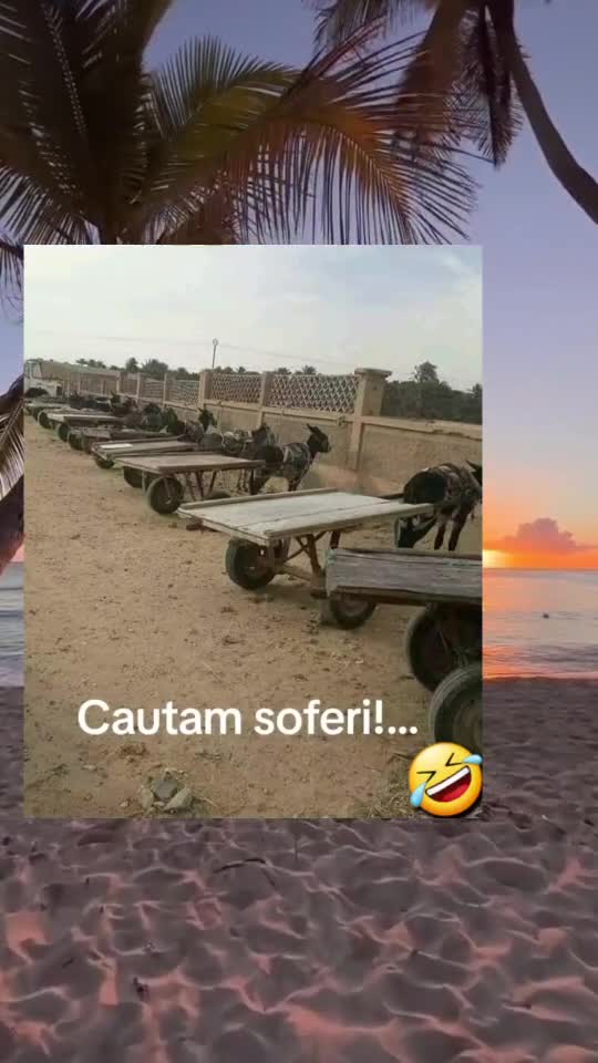 🇷🇴🤪🇷🇴#🇷🇴🤣🤣