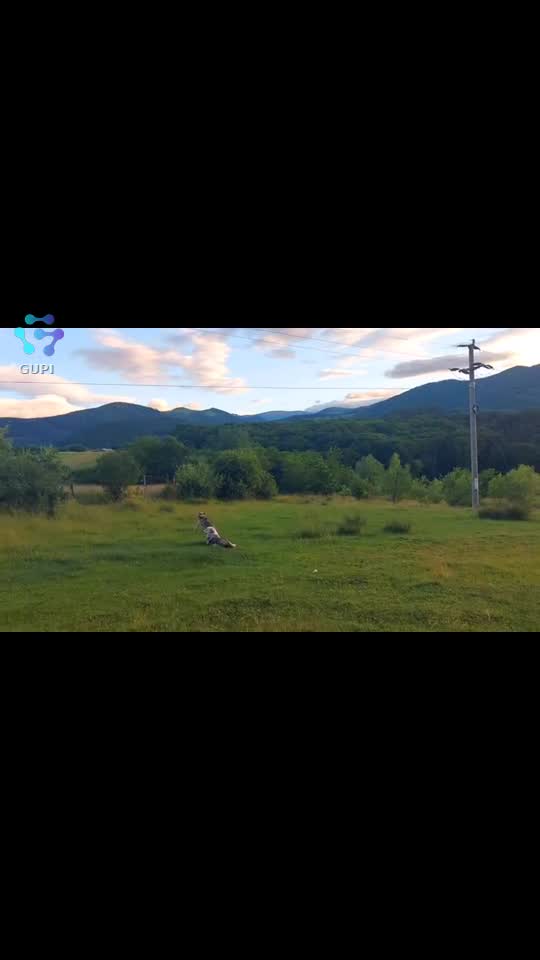 Video de @FLRica06