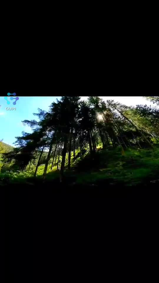 Video de @FLRica06