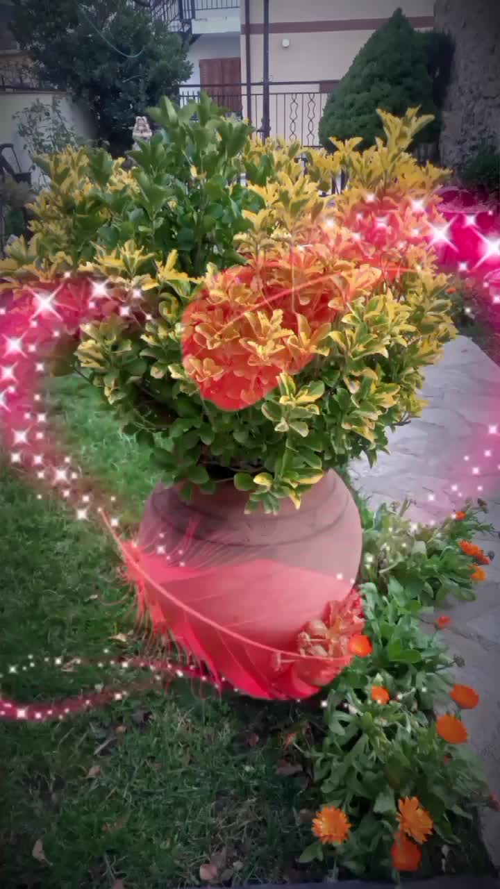 ❤❤❤