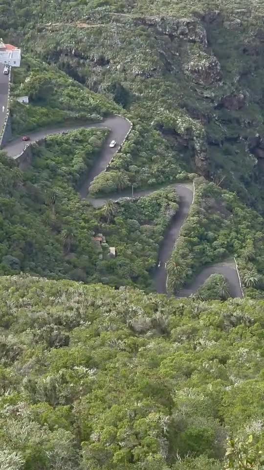 Tenerife 🌴