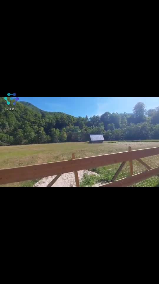 Video de @FLRica06