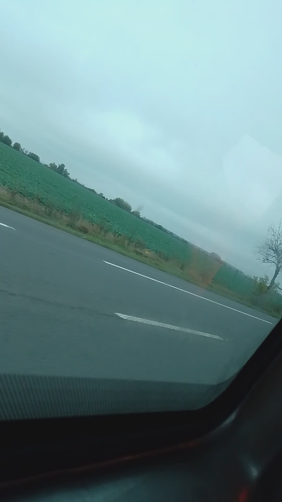 Video de @gupiuser1041081