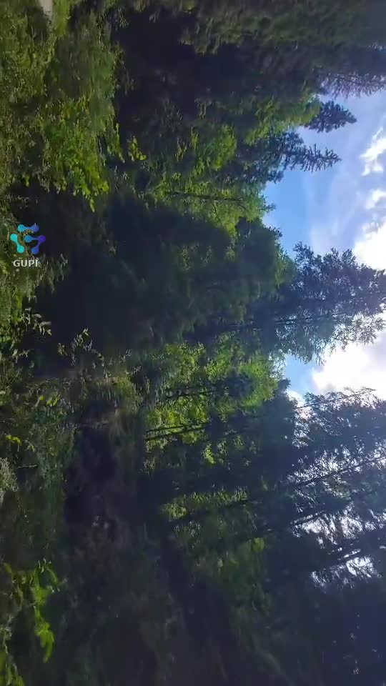 Video de @FLRica06