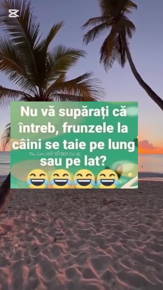 🇷🇴🤪🇷🇴#🇷🇴🤣🤣