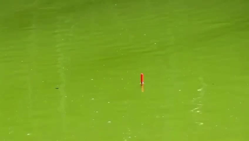 #fishingknot78