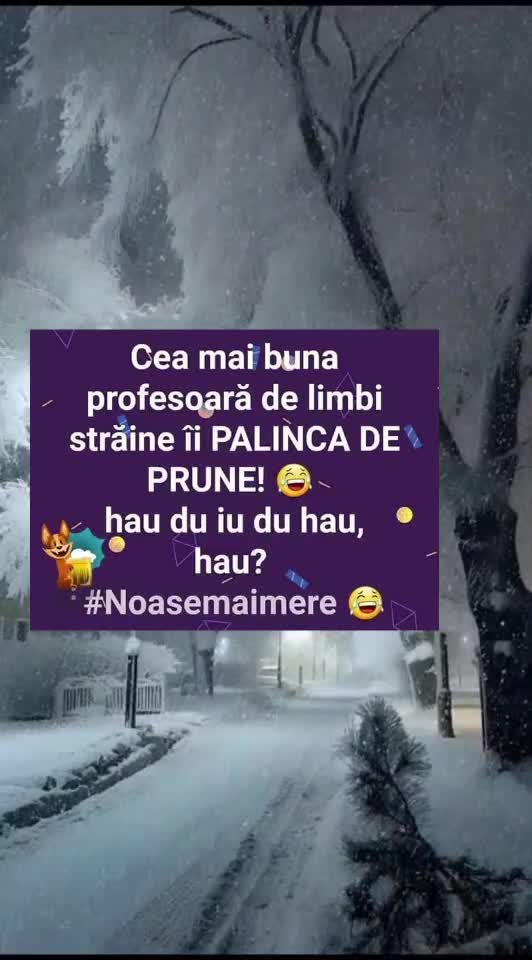 🇷🇴🤪🇷🇴#🇷🇴🤣🤣