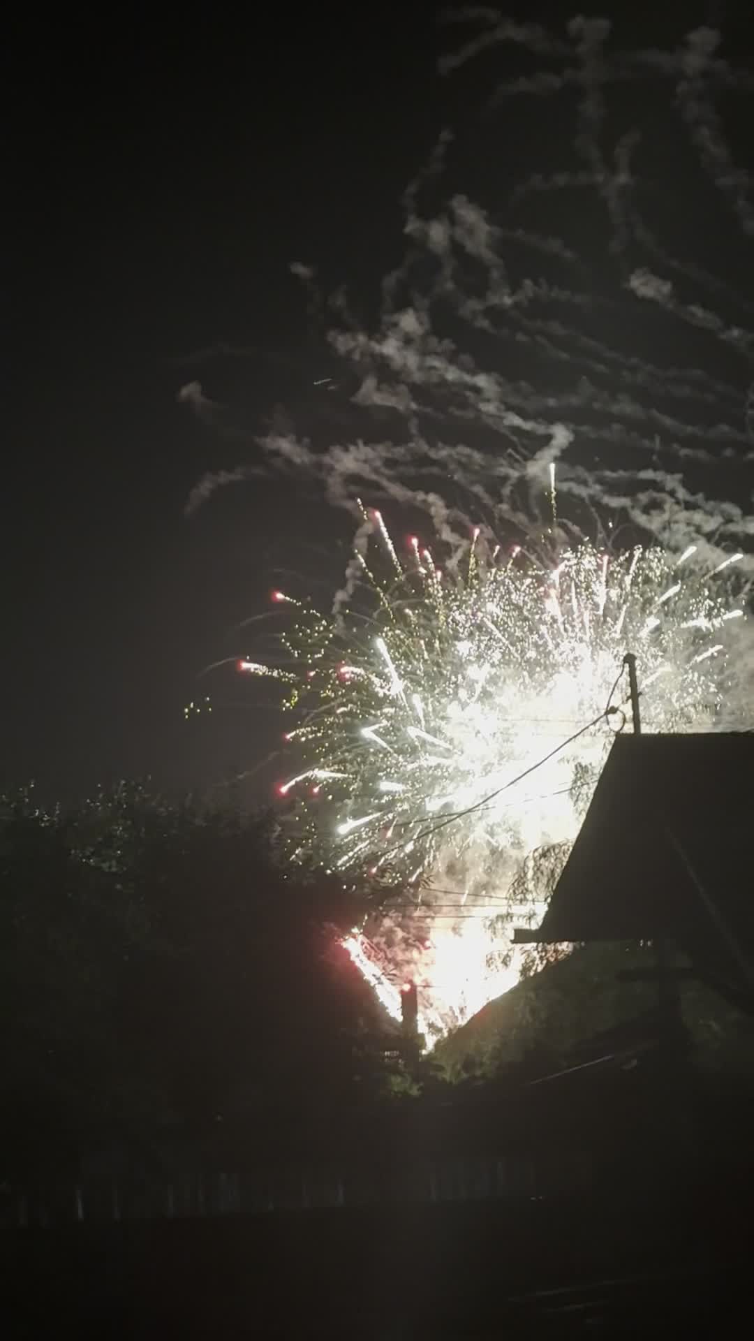 Video de @gupiuser141220