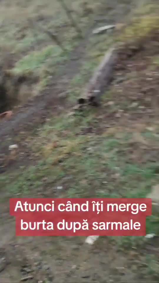 #Dragoste