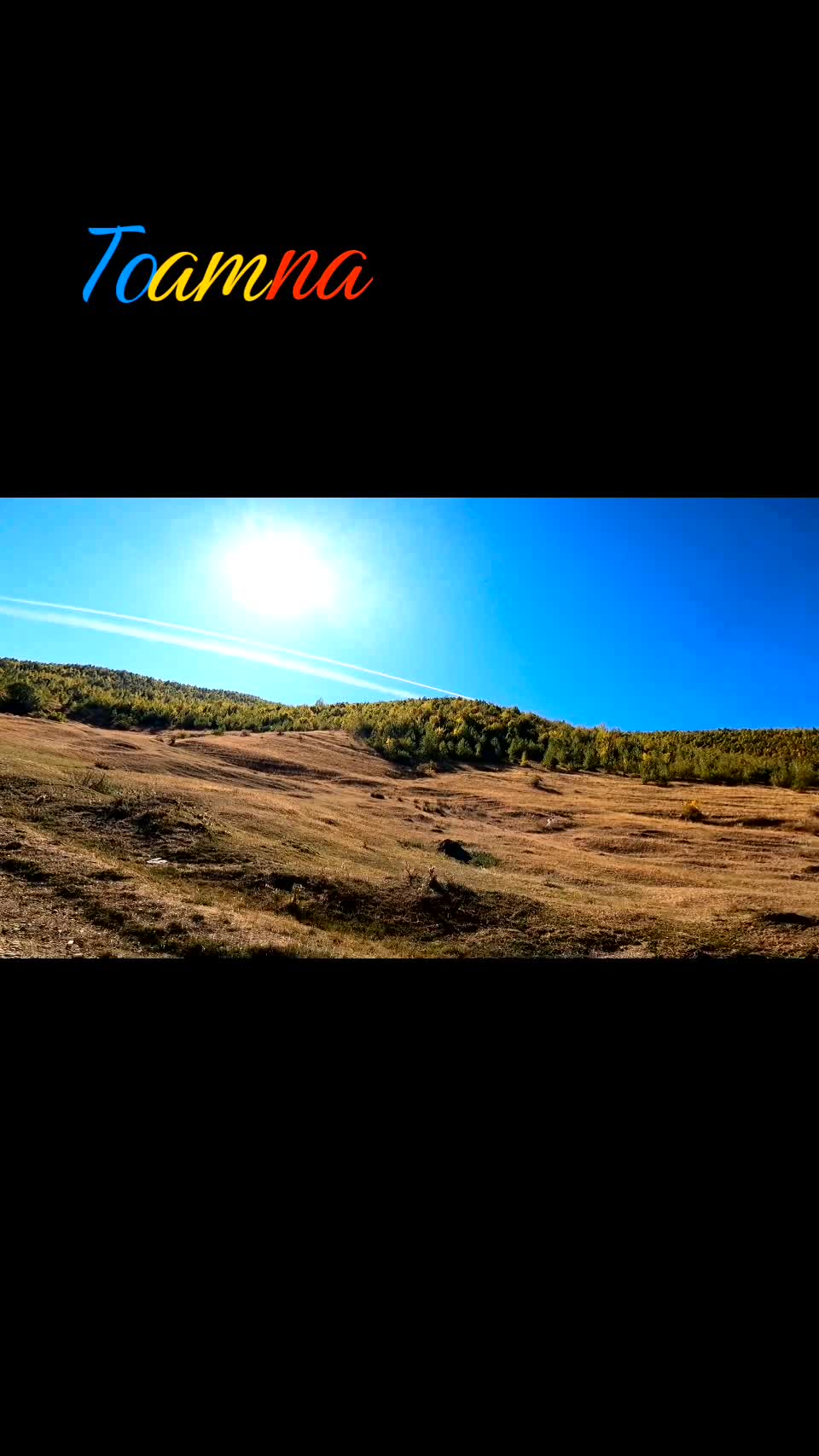 Video de @FLRica06