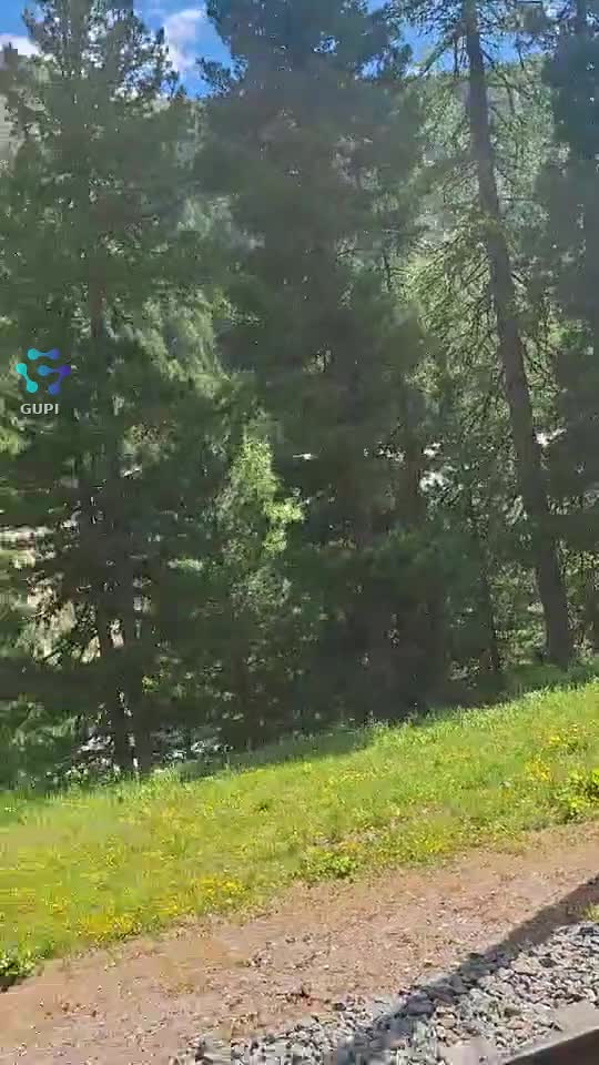 Video de @gupiuser166924