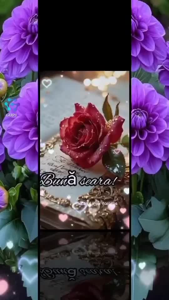 Video de @gupiuser157697