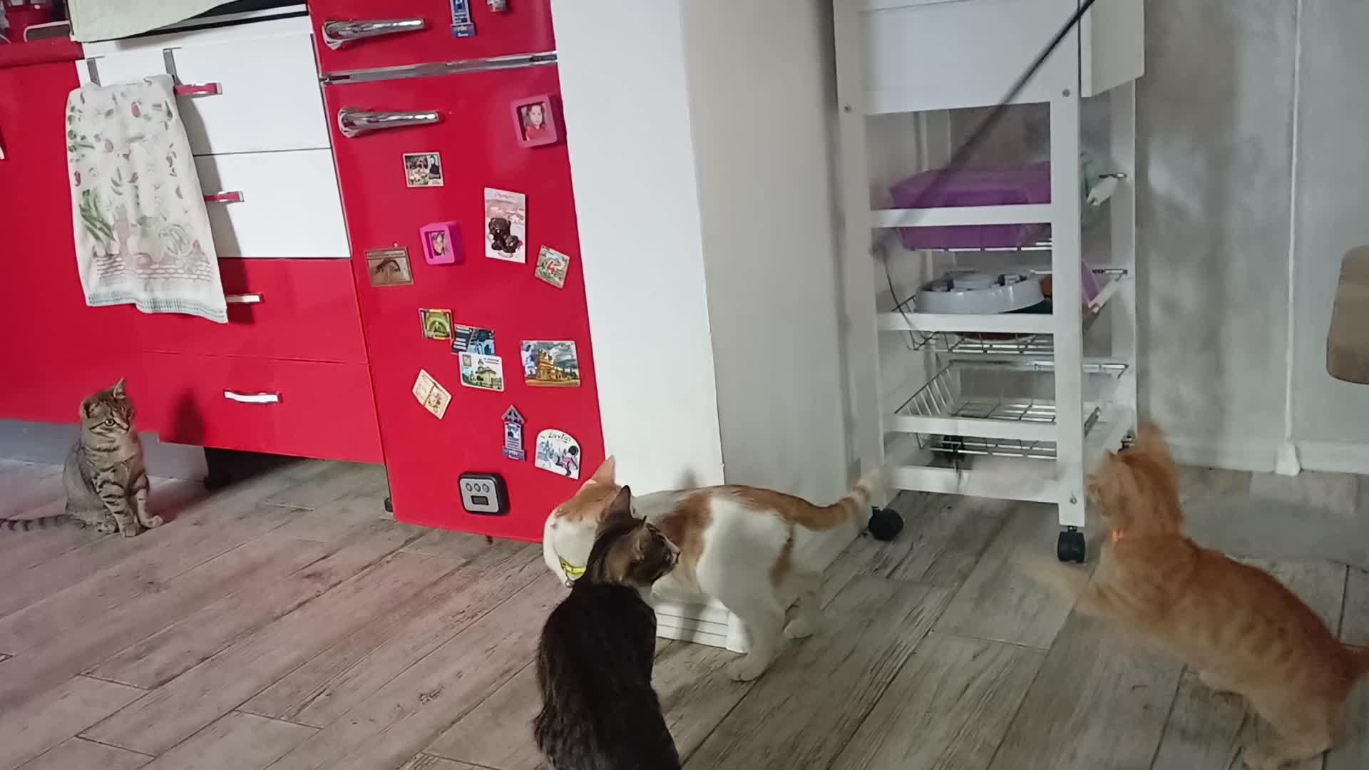 Video