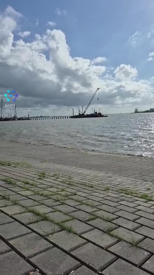 Video de @gupiuser320050
