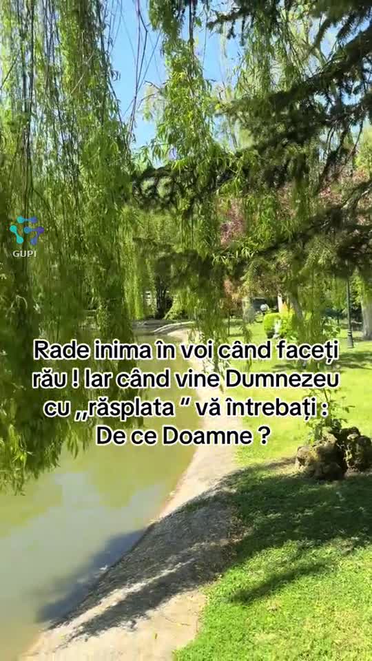 Video de @motanel24375