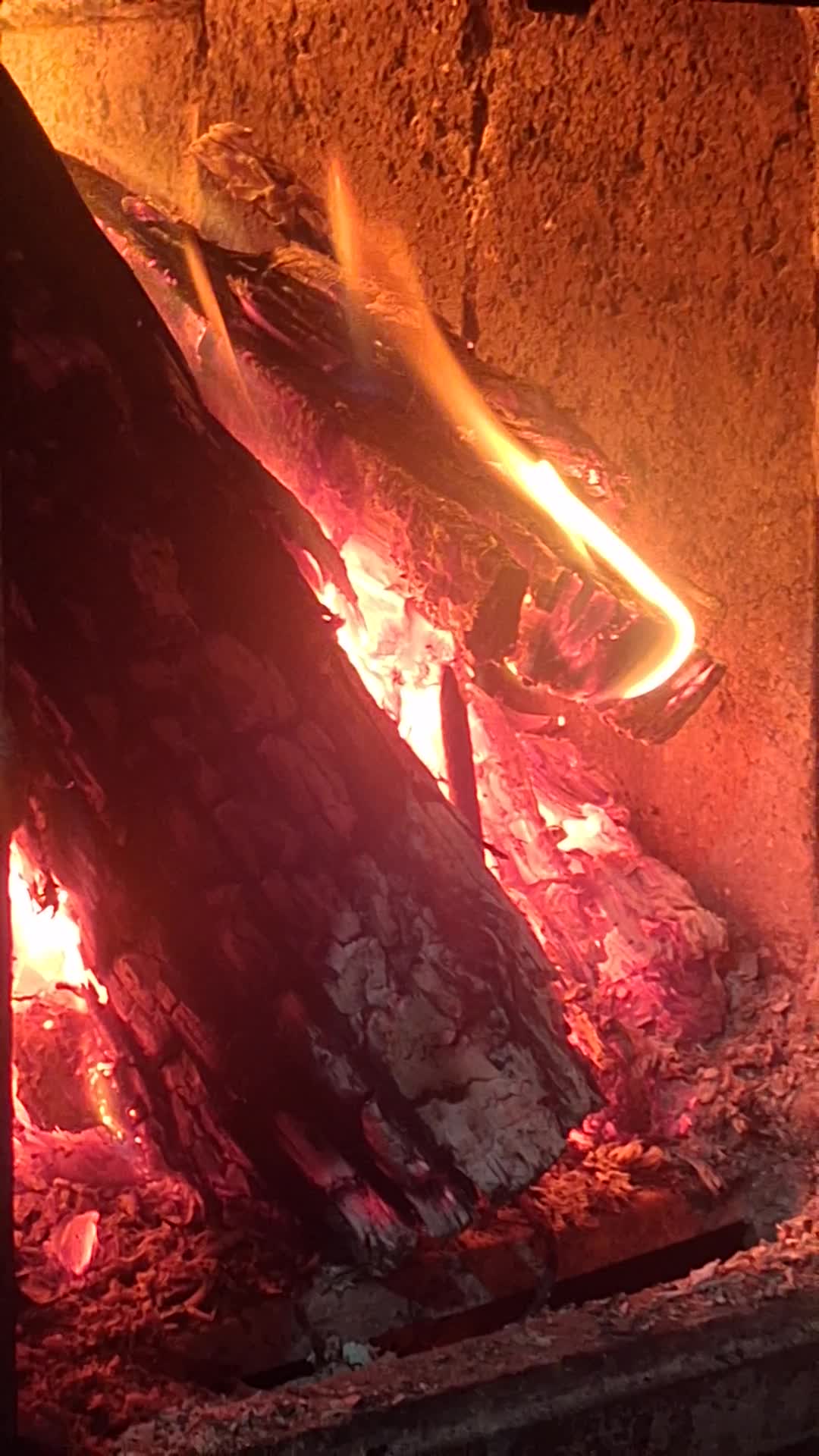 Video de @gupiuser1039811
