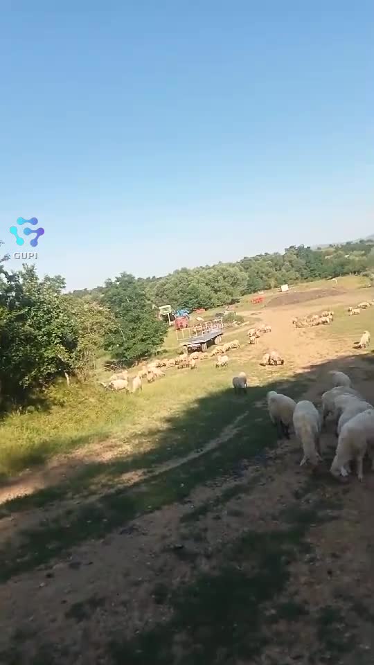 Video de @gupiuser158403