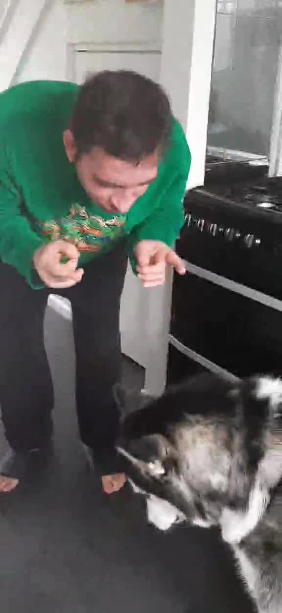 Kitto, Guță în devenire 🤣🤣🤣🤣