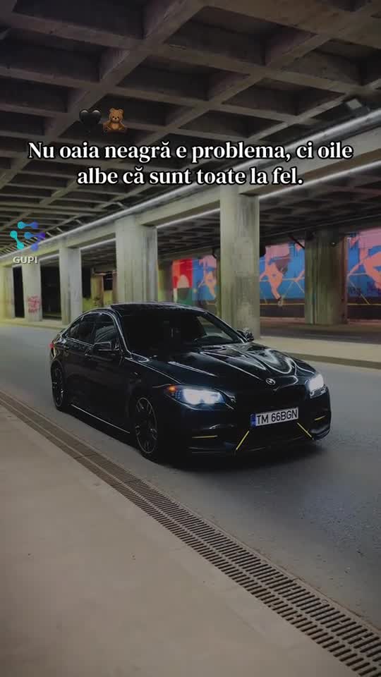 Video de @gupiuser329201
