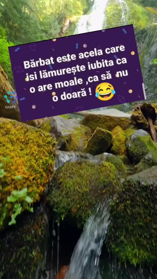 Video de @gupiuser144503