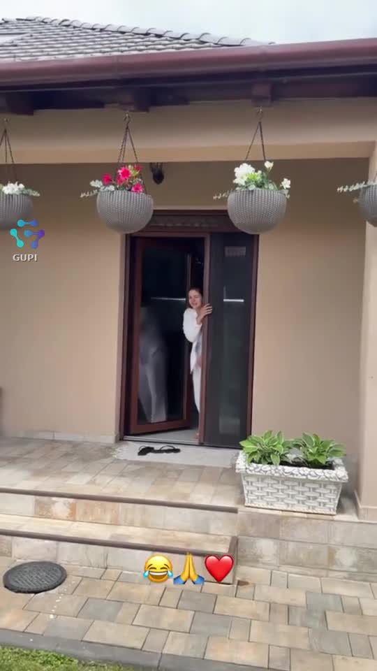 Video de @gupiuser147071