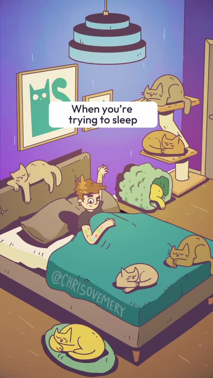 🪩🪩🪩🐈‍⬛🐈‍⬛🐈🐈