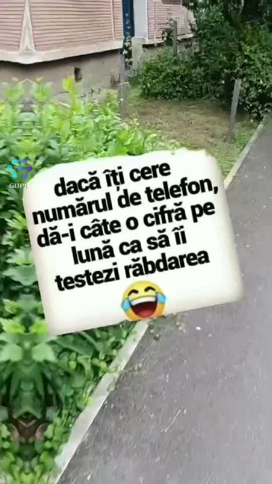 Video de @gupiuser144503