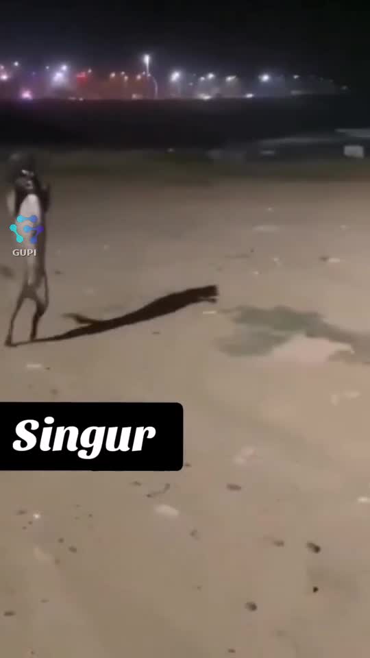 😂😂😂🥰🤣🤣🤣