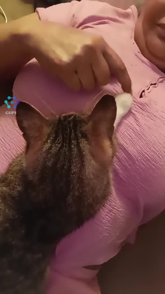 Pisi...o suflețică mică luată din stradă călcată de mașină