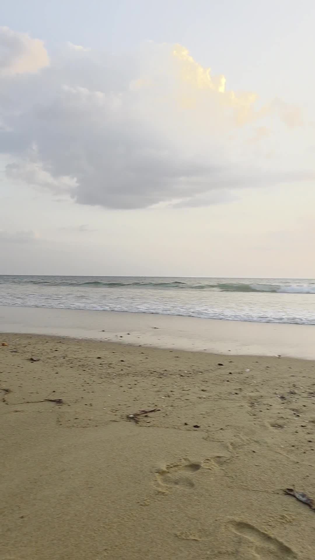 Video de @MarcelAndrei