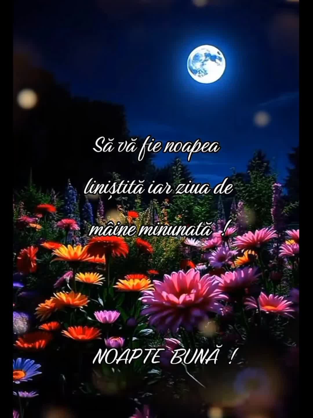 Noapte buna!