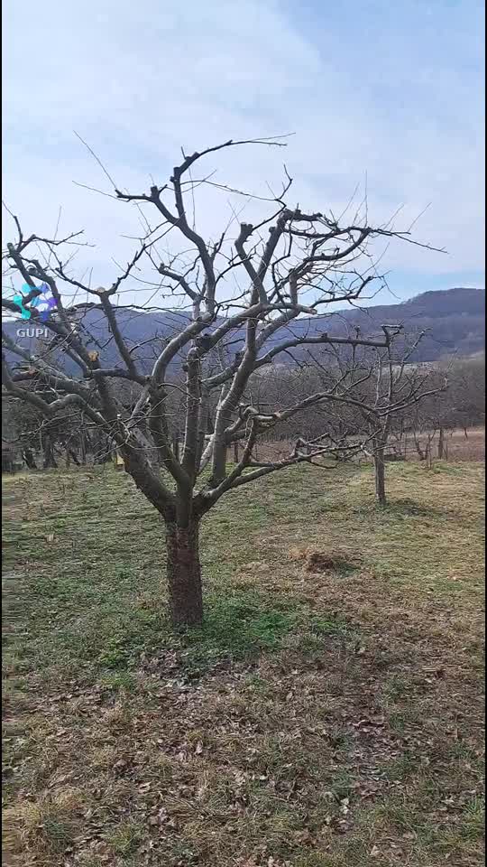 Video de @gupiuser154651