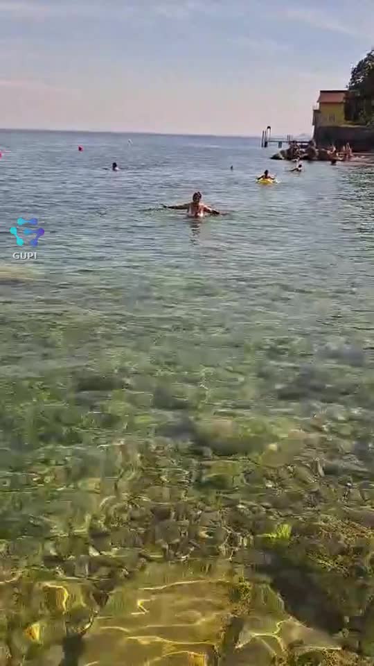 Video de @gupiuser158256
