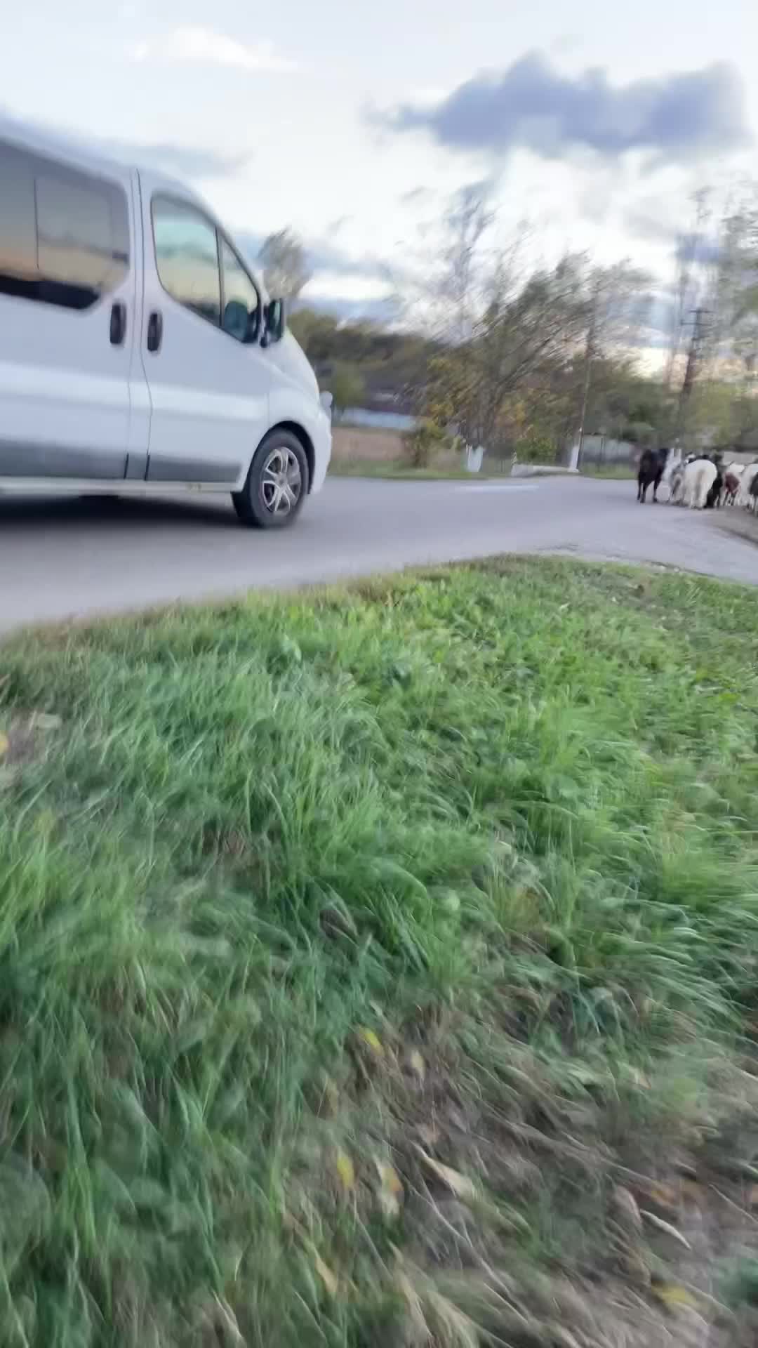 Video de @gupiuser994518