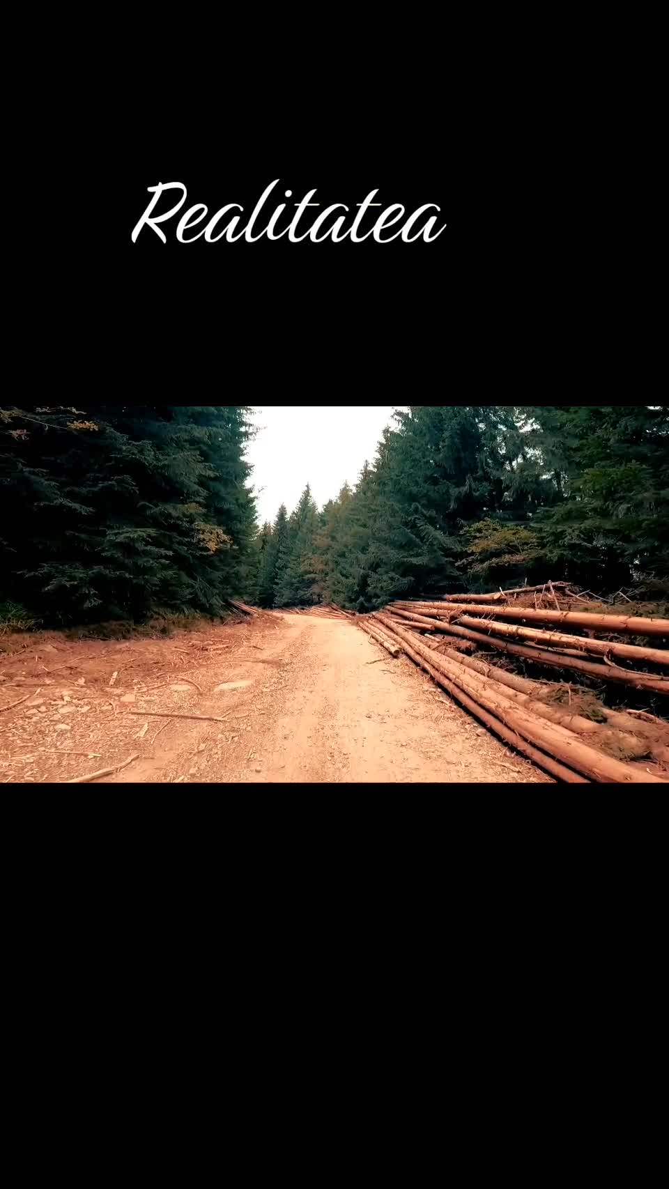 Video de @FLRica06