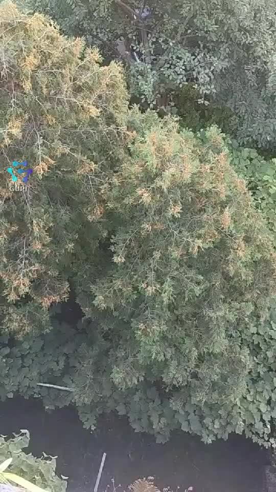 Adevărat .🌿🌿🌿