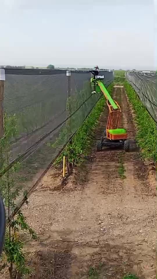 la munca