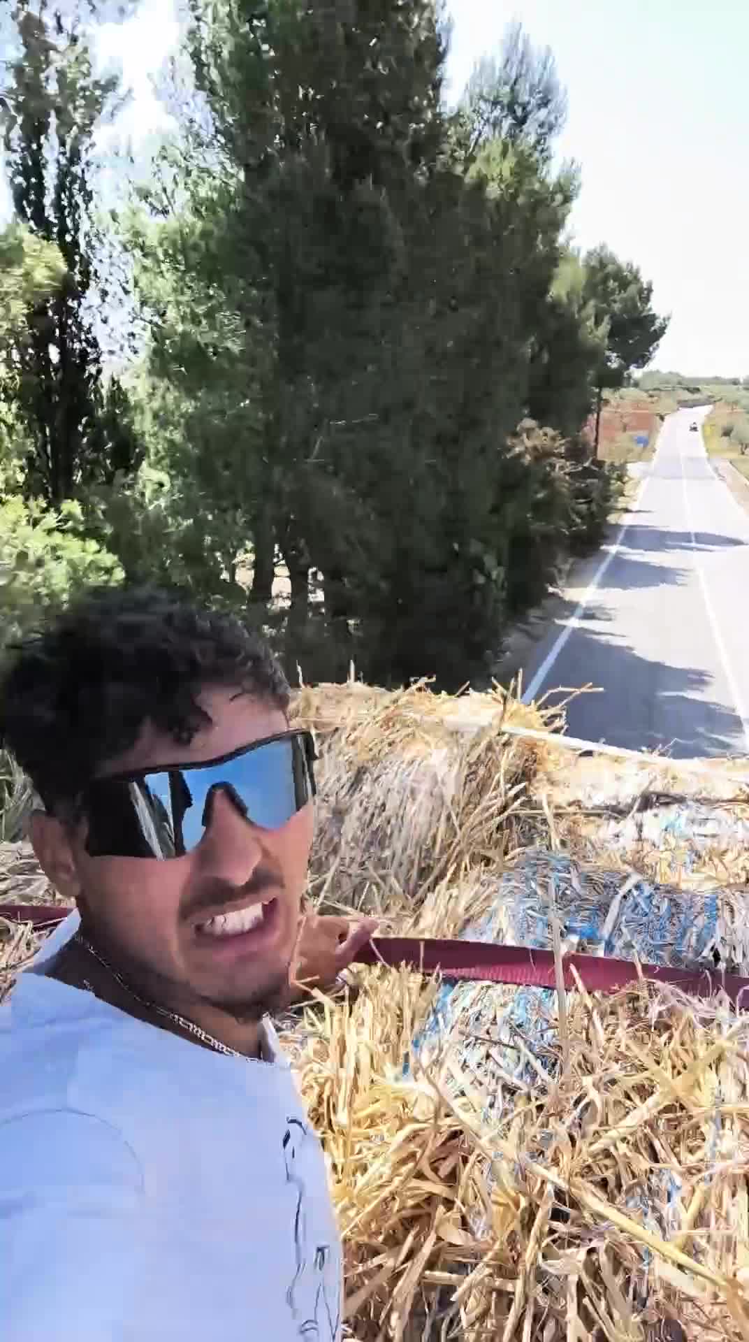 Video de @gupiuser1090629
