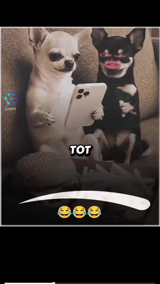 |||{"overlays":[{"text":"😂","x":0.5,"y":0.4,"fontSize":48.0,"color":4294967295,"isEmoji":true},{"text":"😂","x":0.7333333333333334,"y":0.44366471734892793,"fontSize":48.0,"color":4294967295,"isEmoji":true}]}