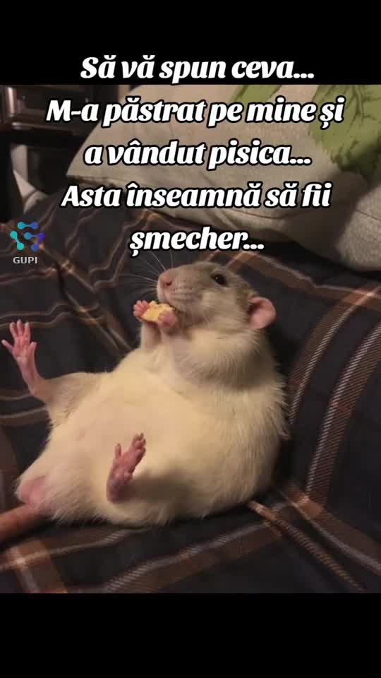 asta șmecherie...😁🐁🐭