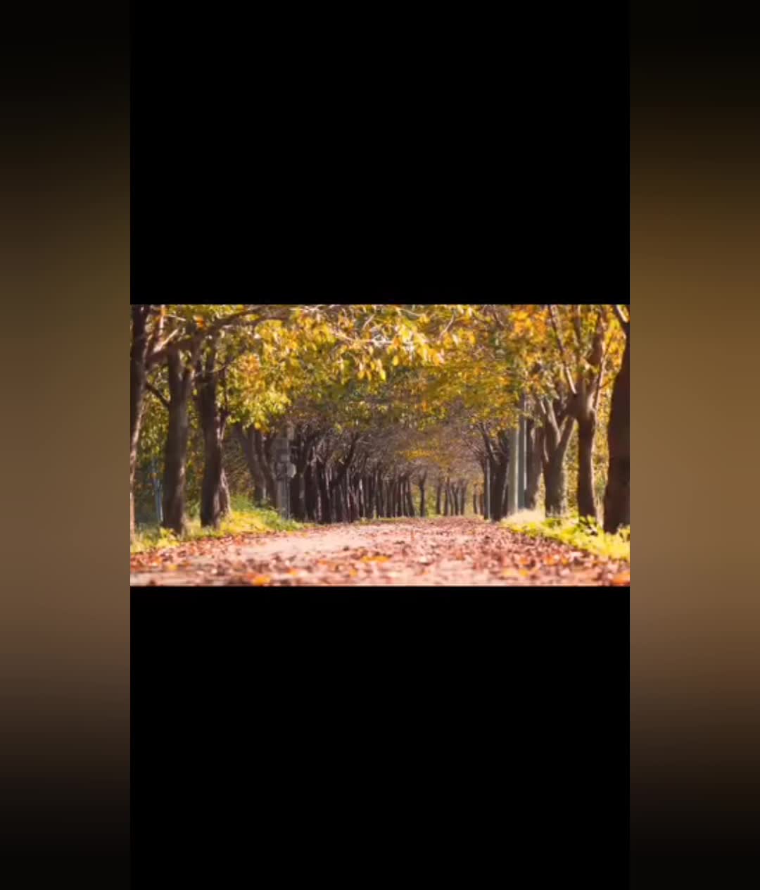 Video de @gupiuser760707