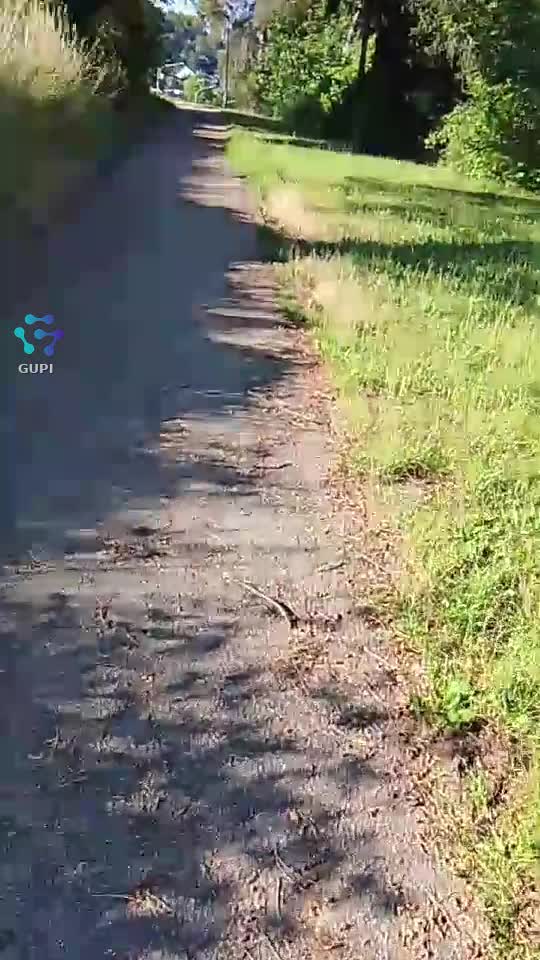 Video de @gupiuser155431